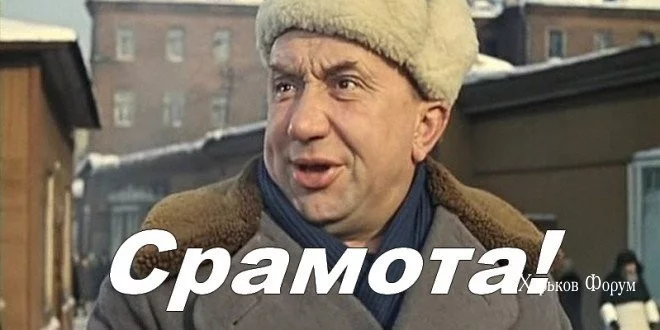 85b61e35bf03e410.webp