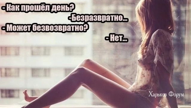 85f19b5416dcd72e.webp