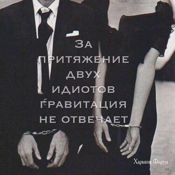 85f32925dfb54701d1fb.webp