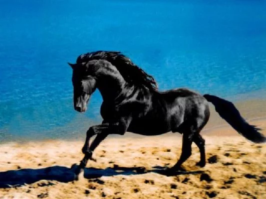 86089.webp