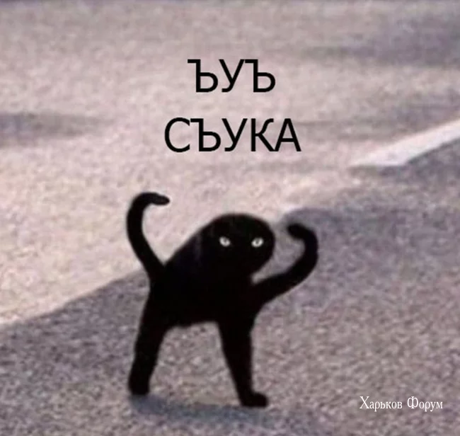 8612d71cf81985081.webp