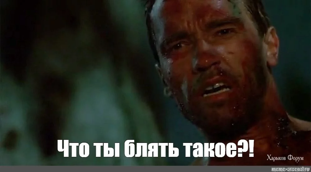 861cb92e83cd8b456.webp