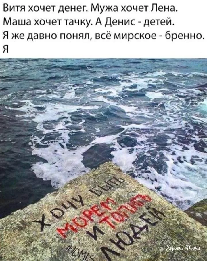 8620fa5fcc69b1c7431.webp