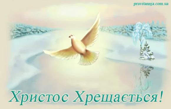 862406009.webp