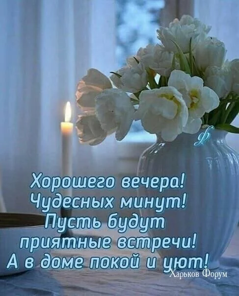 8624d3f175a4aa61944ba39.webp