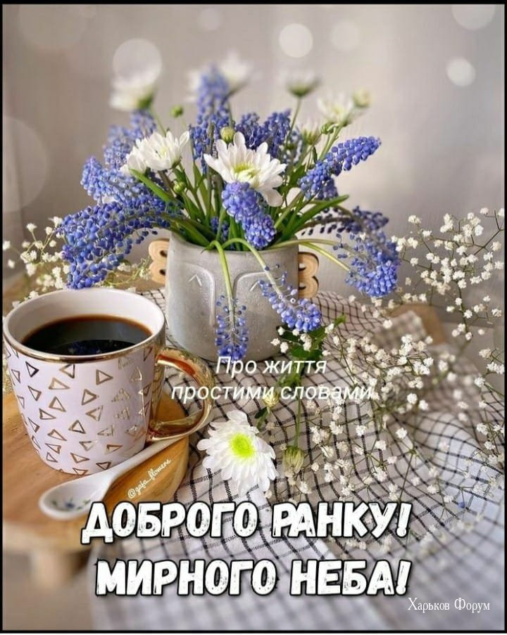 86357f464fd8d907706d3dbb.jpg