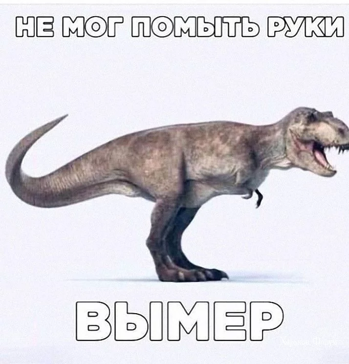 863d701c255ce0f1ab2744f.webp