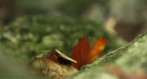 864311150.gif