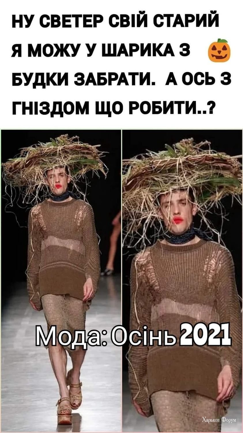 864f0b57a6a3db97df562.jpg
