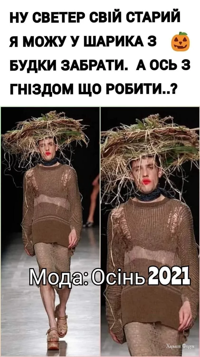 864f0b57a6a3db97df562.webp