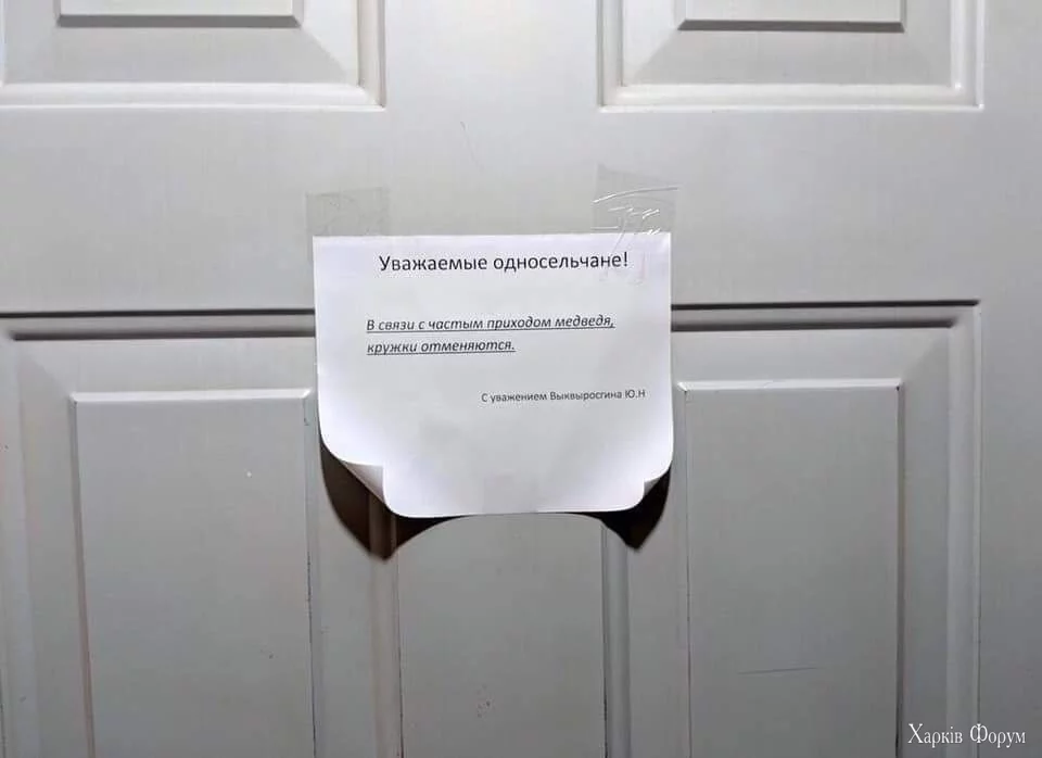 8658283.jpeg