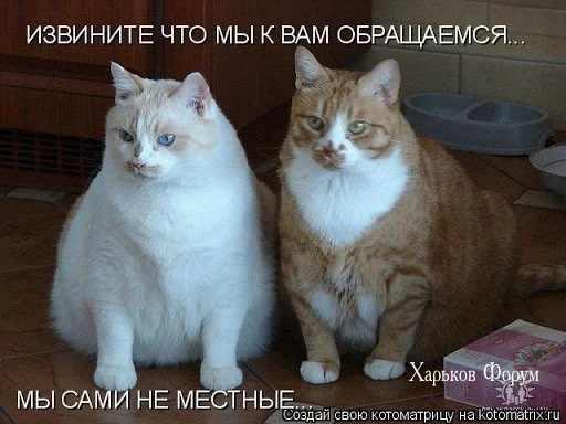 8673d197a22f7860c4925.webp