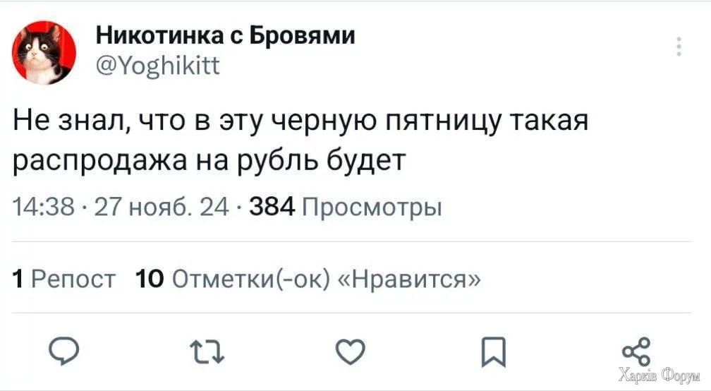 8692558.webp