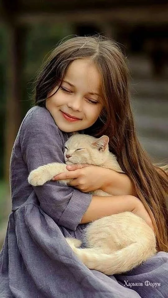 8699955cf0b96153d.webp
