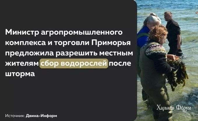 86b2dfdfed333f92344.webp
