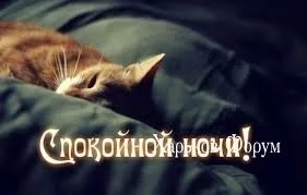 86b9f66c9abfe354f1a77da3.webp