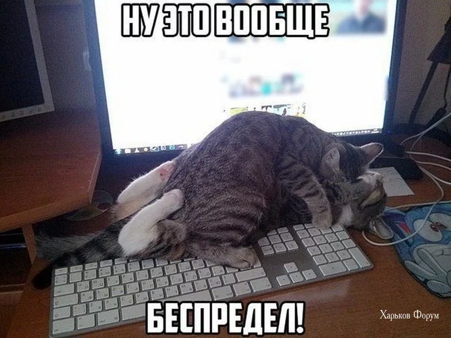 86ca39e27cf677c8757a.webp