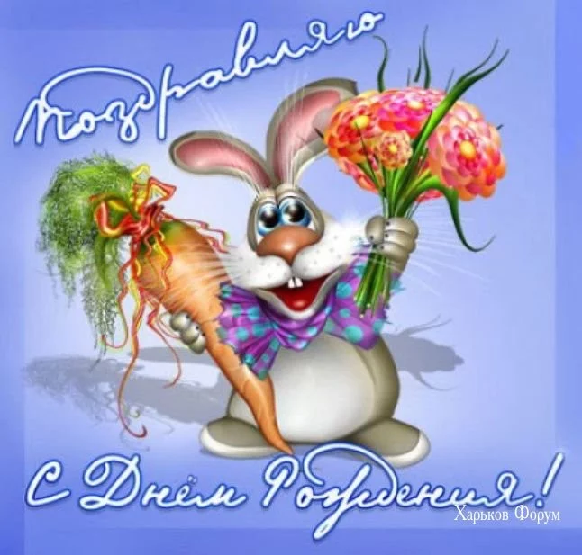87068a9ea7ce93ae7e.webp