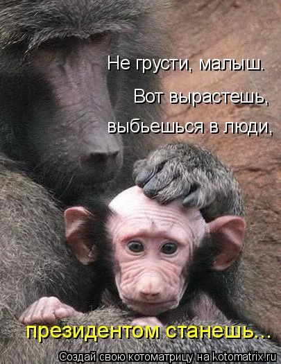870697.webp