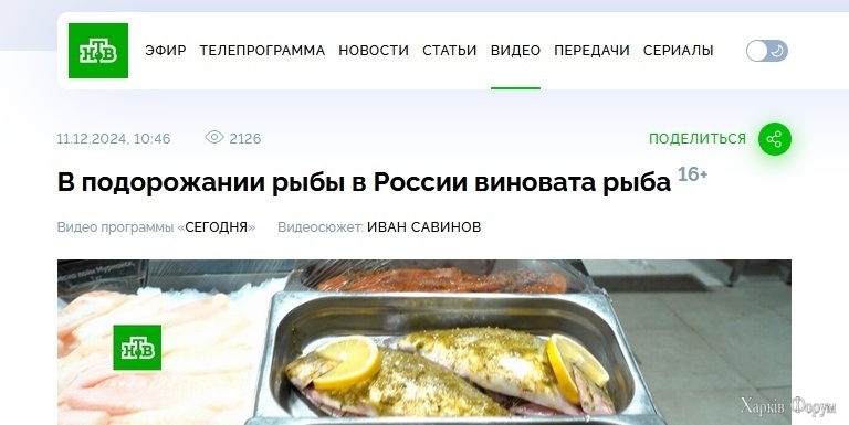 8709350.jpg