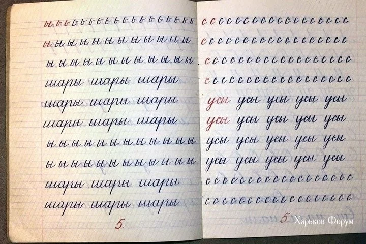870c9fdc04c055a8.webp