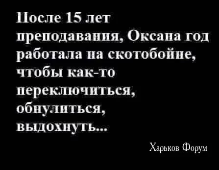871842bf1142129d574342.webp