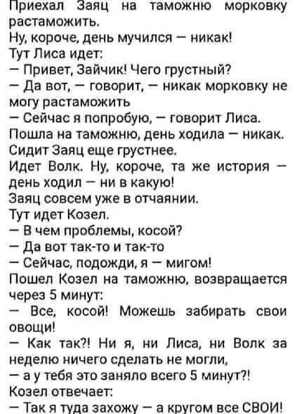 872325b8a884c895b.webp