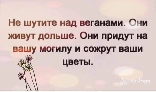 87252488fec50eadf12e6.webp