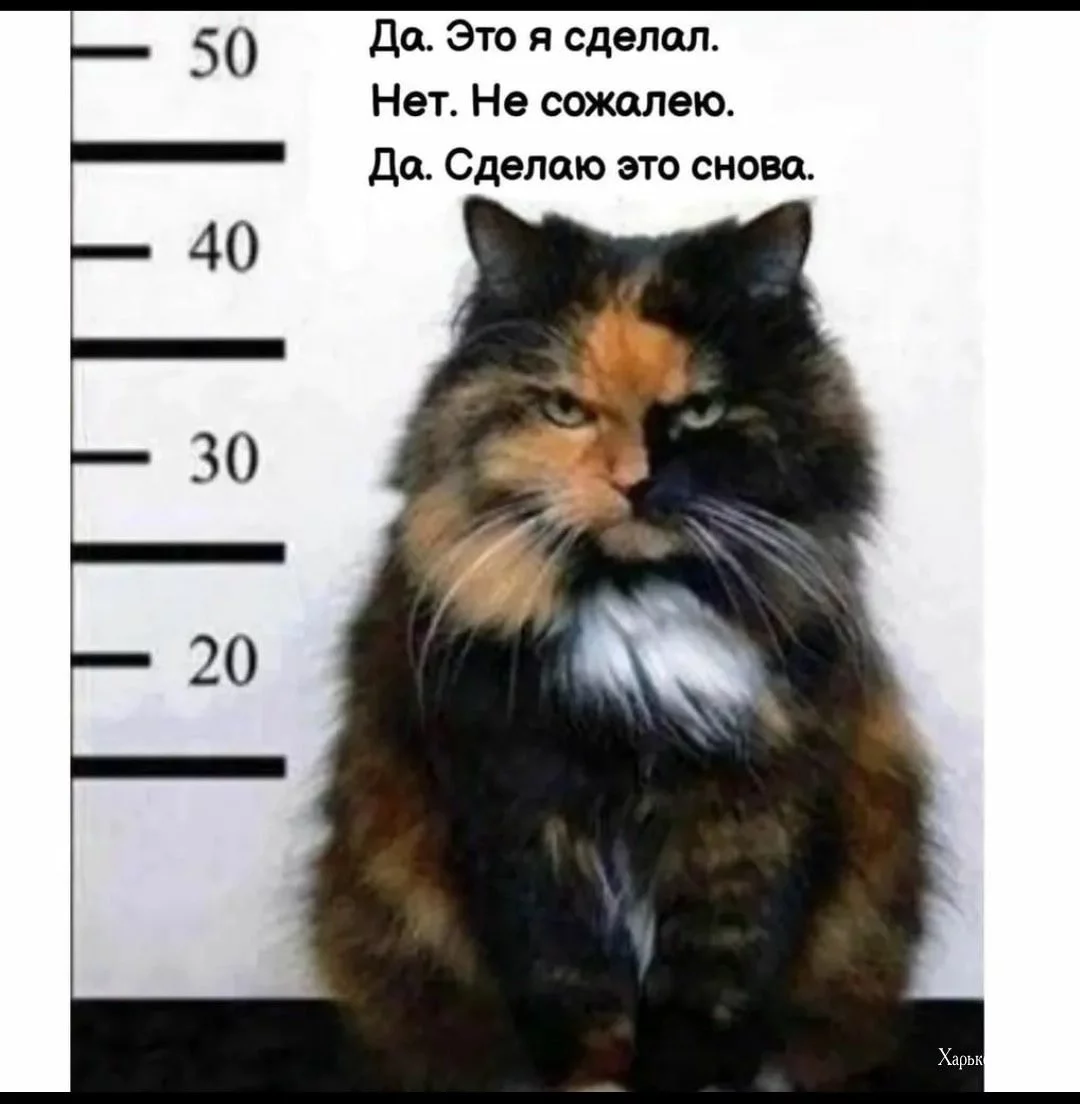 872ed48b83d44b9e.webp