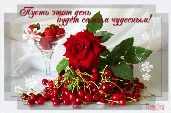 8738-darling27-chuddeni05.gif