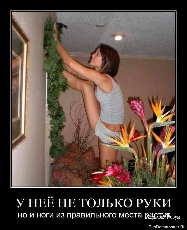 873f08b9b80a1fc13efc12.webp