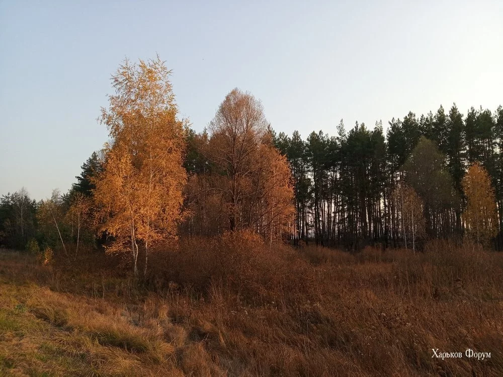 8743c7005990c8b99a4c813.webp