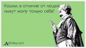 874bad757178f0a98a8a5710de2e1fa4.webp