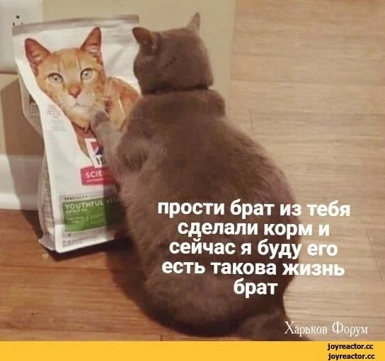 875b030ea0b1bffdcc8d8e.webp