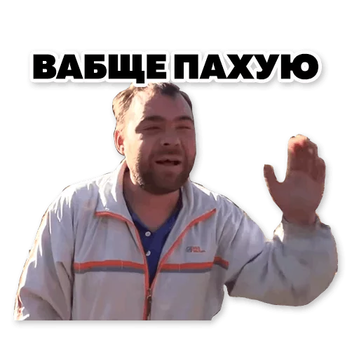 87623a48f5c964de.webp
