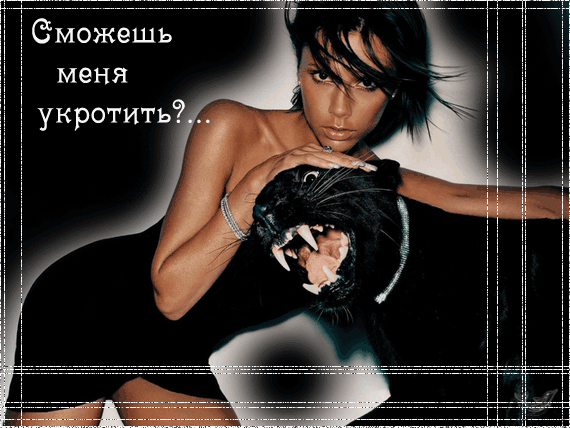 8770.gif
