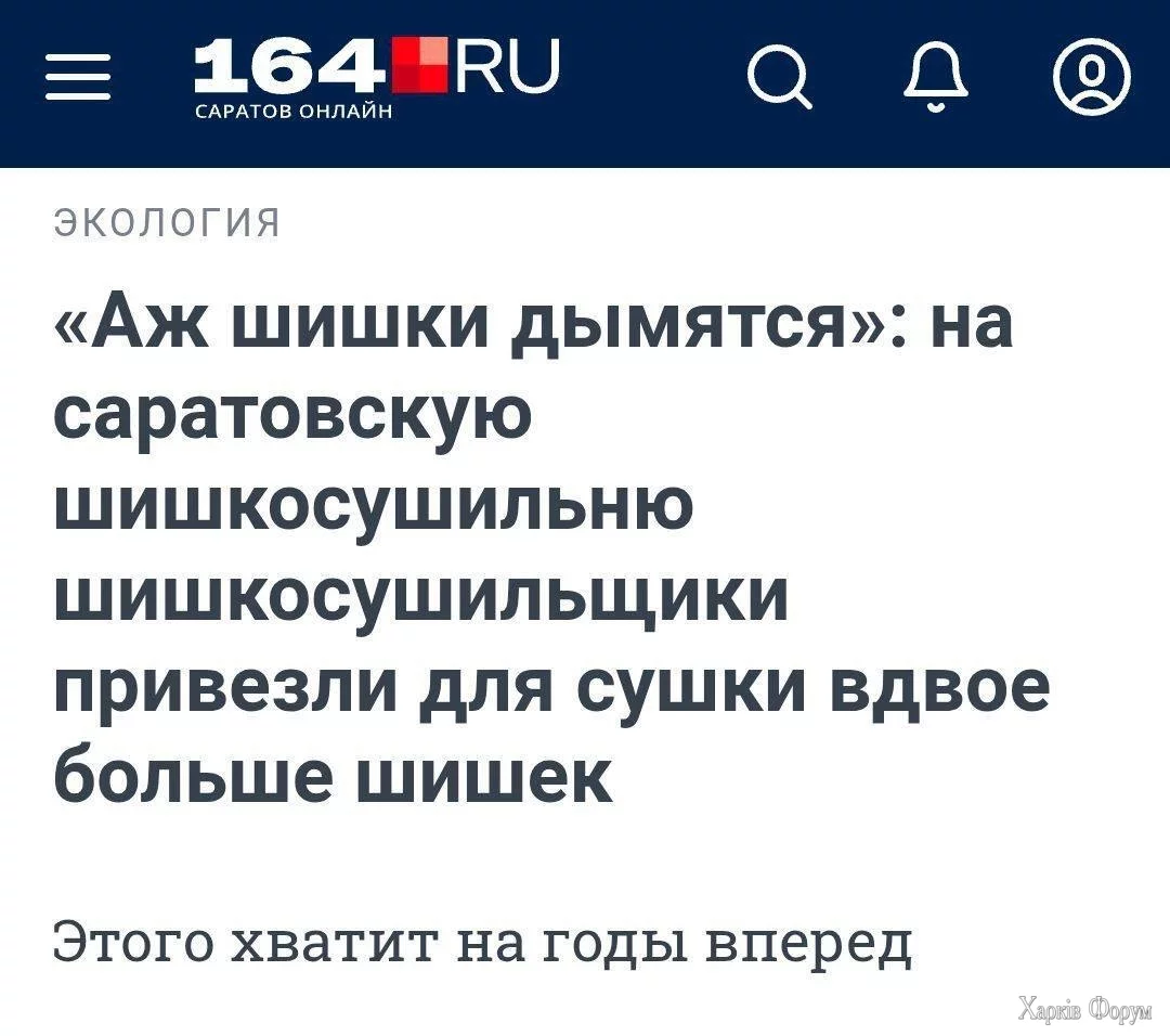 8771876.webp