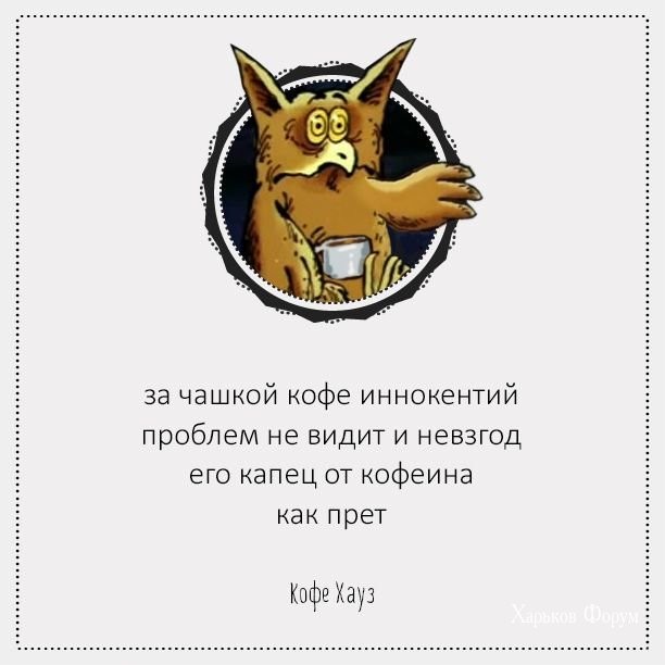877ee80f865a7ecb2327.jpg
