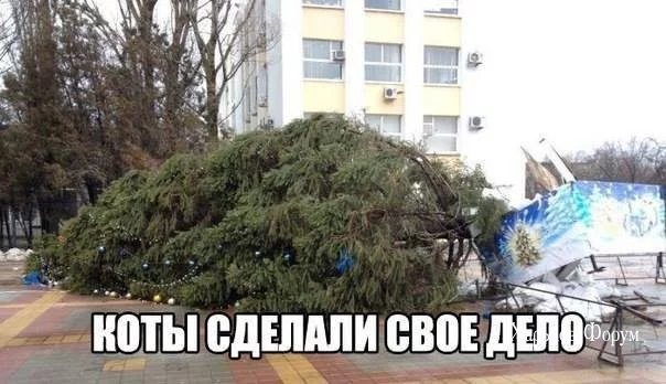 877efe6149a8e7a2c1013.webp