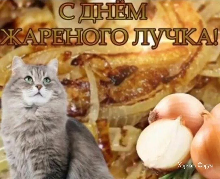 87931b16291822cf3e7.webp