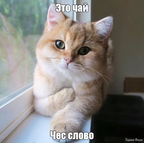 87aea501e10056b25a208ba09f92e3af.webp