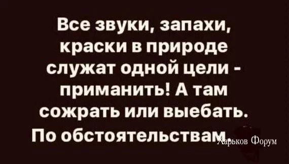 87b60c863c680d48c6b70.webp