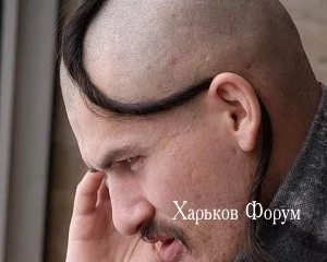87c51b5b3d17e4ae.webp