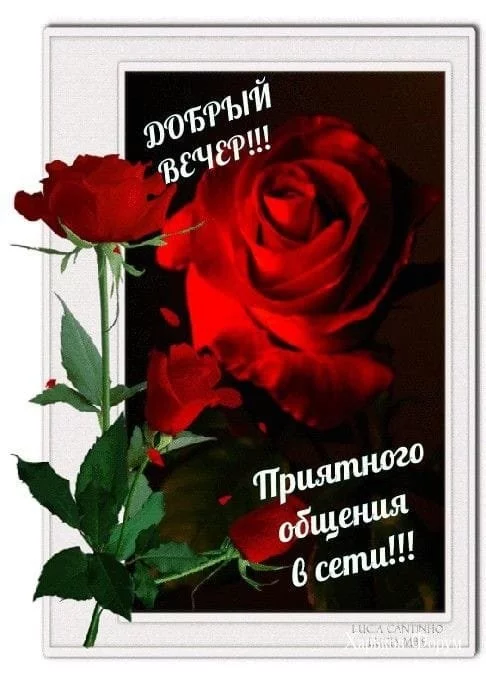 87dc0580f9fdab5c094d.webp