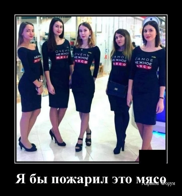 87e6cd1b874d3be3357.webp