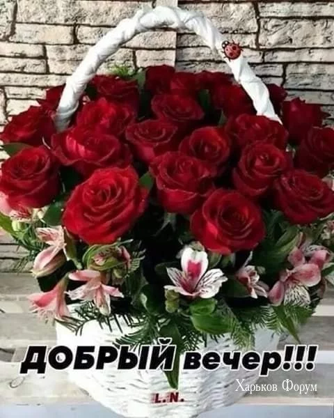 87eae769f6cafa1b917798.webp