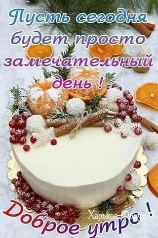 87ef0937805884b1a03c7.webp