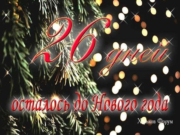 87efe52a8aeca9201.webp