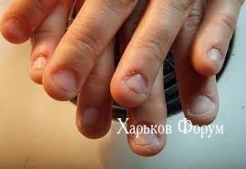 87f03592e1e15a837.jpg