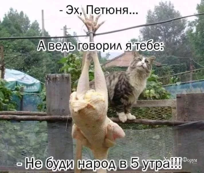 8802e547418b61b25.webp